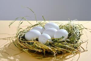 boerderij natuurlijk wit eieren in een nest van gras. foto