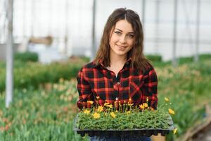 mooi jong glimlachen meisje, arbeider met bloemen in serre. concept werk in de serre, bloemen. foto