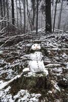 sneeuwman Aan een boom stomp met wortel, toetsen, takken, pijnboom naalden net zo haar- foto