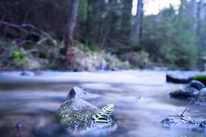lang blootstelling schot van een rivier, steen in de voorgrond, met een varen blad. Woud foto