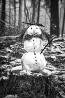 sneeuwman Aan een boom stomp met wortel, toetsen, takken, pijnboom naalden net zo haar- foto