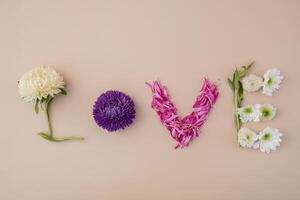 creatief minimalistisch ontwerp van bloemen bloemblaadjes en doorbladert maken woord tekst liefde Aan beige achtergrond. romantisch pastel bloemen. modern stijlvol. top visie vlak leggen foto