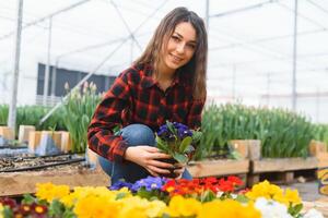 mooi jong glimlachen bloemisten vrouw, arbeider met bloemen in serre. concept werk in de serre, bloemen. foto