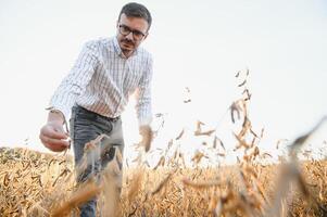 portret van boer staand in soja veld- onderzoeken Bijsnijden Bij zonsondergang. foto