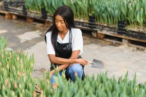 landbouw beheer. glimlachen Afrikaanse Amerikaans meisje maakt foto van bloemen plantage in serre, kant visie, vrij ruimte