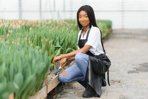 mooi jong glimlachen Afrikaanse Amerikaans meisje, arbeider met bloemen in serre. concept werk in de serre, bloemen. foto