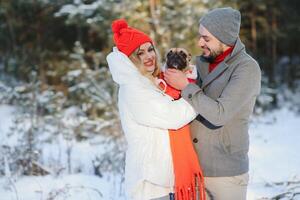 winter picknick in de Woud. liefde verhaal in sneeuw. paar in winter Speel in sneeuw en knuffelen in de buurt de pijnboom. twee geliefden Aan winter wandelen. Valentijnsdag dag voor paar in rustiek stijl. winter liefdesverhaal foto