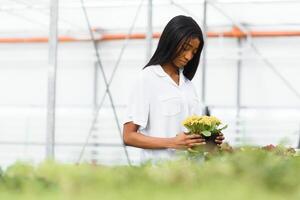 mooi jong glimlachen Afrikaanse Amerikaans meisje, arbeider met bloemen in serre. concept werk in de serre, bloemen. foto