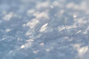 mooi sneeuw macro met sneeuwvlokken Aan een ijzig winter dag foto