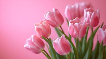 ai gegenereerd roze tulpen Aan een roze achtergrond foto