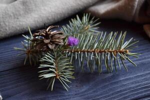 Afdeling van spar, gebreid trui in knus atmosfeer Aan de donker blauw houten achtergrond. sfeervol vlak leggen in hygge stijl. foto