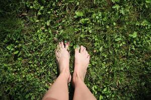 kaal vrouw voeten Aan een groen gras. foto