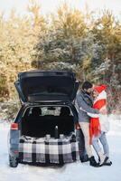 winter picknick in de Woud. liefde verhaal in sneeuw. paar in winter Speel in sneeuw en knuffelen in de buurt de pijnboom. twee geliefden Aan winter wandelen. Valentijnsdag dag voor paar in rustiek stijl. winter liefdesverhaal foto