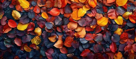 ai gegenereerd herfst bladeren Aan de verdieping in divers kleuren foto