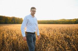 agronoom inspecteert soja Bijsnijden in agrarisch veld- - agro concept - boer in soja plantage Aan boerderij foto