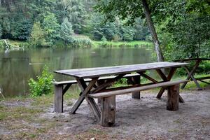 mooi meer en groen Woud landschap. foto