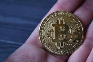 gouden bitcoin en dollars in mannetje hand- Aan een donker blauw houten achtergrond. goud munt van cryptogeld. foto