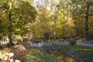 herfst park. geel gebladerte. mooi en vredig plaats. herfst landschap. foto