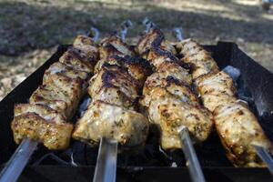 vlees in specerijen Koken Aan een brand buitenshuis. barbecue achtergrond. foto