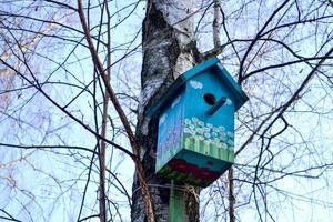 kleurrijk vogelhuisje Aan de boom. nesten doos. foto