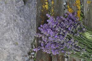 geplukt lavendel. lavendel bloem Aan een houten achtergrond. boeket van lavendel. foto