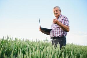 portret van senior boer staand in groen tarwe veld- foto