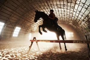 majestueus beeld van het silhouet van het paardpaard met ruiter op zonsondergangachtergrond. het meisje jockey op de rug van een hengst rijdt in een hangar op een boerderij en springt over de lat. het concept van paardrijden foto