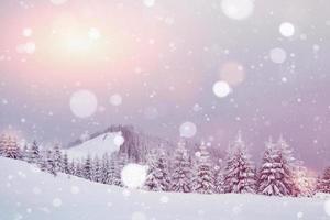hoge heuvel. landschap van de grote Karpaten in de winter. schilderachtige achtergrond foto