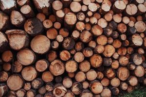 stapel hout. close-up zicht op de voorkant van veel boomstammen die zijn voorbereid op de winter. natuur achtergrond foto