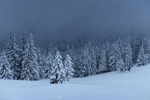 majestueus winterlandschap, dennenbos met bomen bedekt met sneeuw. een dramatisch tafereel met lage zwarte wolken, een stilte voor de storm foto