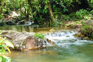 klein streams stromen door rotsen, waterval van verfrissend groen bomen zonnig dag Aan natuur achtergrond foto