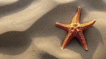 ai gegenereerd tropisch strand tafereel met een zee ster in de zand foto