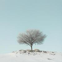 ai gegenereerd een single boom staat veerkrachtig tegen de uitgestrektheid van een zanderig woestijn duin, onder een Doorzichtig blauw lucht foto