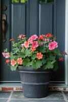 ai gegenereerd bloem pot of planter met geraniums, calibrachoa's foto