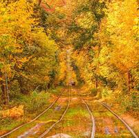 herfst Woud door welke een oud tram ritten Oekraïne foto