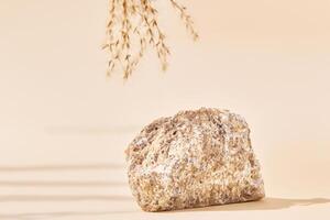 een beige backdrop met een natuurlijk steen podium en een droog fabriek Afdeling biedt een minimaal kopiëren ruimte backdrop voor een kunstmatig Product presentatie. foto