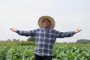 knap Aziatisch Mens boer is Bij tuin, draagt hoed, plaid shirt, verhogen breed Open armen. concept, landbouw bezigheid. gelukkig Thais boer. kopiëren ruimte voor toevoegen tekst, advertenties. foto