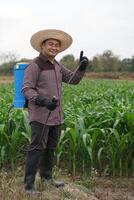 Aziatisch Mens boer draagt blauw sproeier Aan terug naar verstuiven biologisch meststoffen in maïs tuin. vol lichaam afbeelding. concept, landbouw bezigheid. Thais boer levensstijl. foto