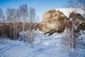 natuur van Rusland zuidelijk urals basjkiria, een rots met een Ingang naar de karlamanskaja grot, een voorjaar ski reis in de sneeuw, een winter Woud van de berg foto