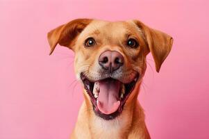 ai gegenereerd gelukkig honden glimlachen uitdrukking foto