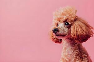 ai gegenereerd hond staand in pastel roze instelling foto