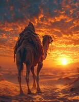 ai gegenereerd kameel wandelen in de zand Bij zonsondergang foto
