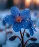 ai gegenereerd blauw bloem met water druppels in de ochtend- foto