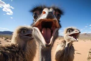 ai gegenereerd eigenzinnig struisvogel selfie grappig. genereren ai foto