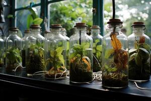 ai gegenereerd laboratorium biologie planten. genereren ai foto