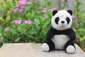 zwart en wit panda pop zittend alleen Aan een houten tafel in de bloem tuin. foto