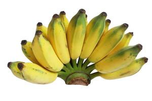 banaan geïsoleerd Aan wit achtergrond met knipsel pad. foto