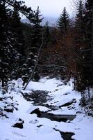 sneeuw gedekt vallen rivier- in estes park Colorado foto