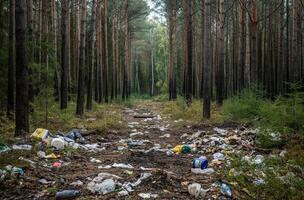 ai gegenereerd bezaaid Woud spoor foto