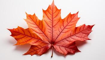 ai gegenereerd levendig herfst kleuren versieren de Woud in oktober gegenereerd door ai foto